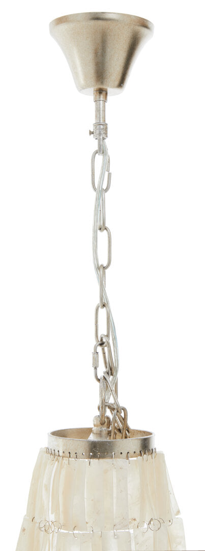 Monaco 8 Bulb Seashell Chandelier