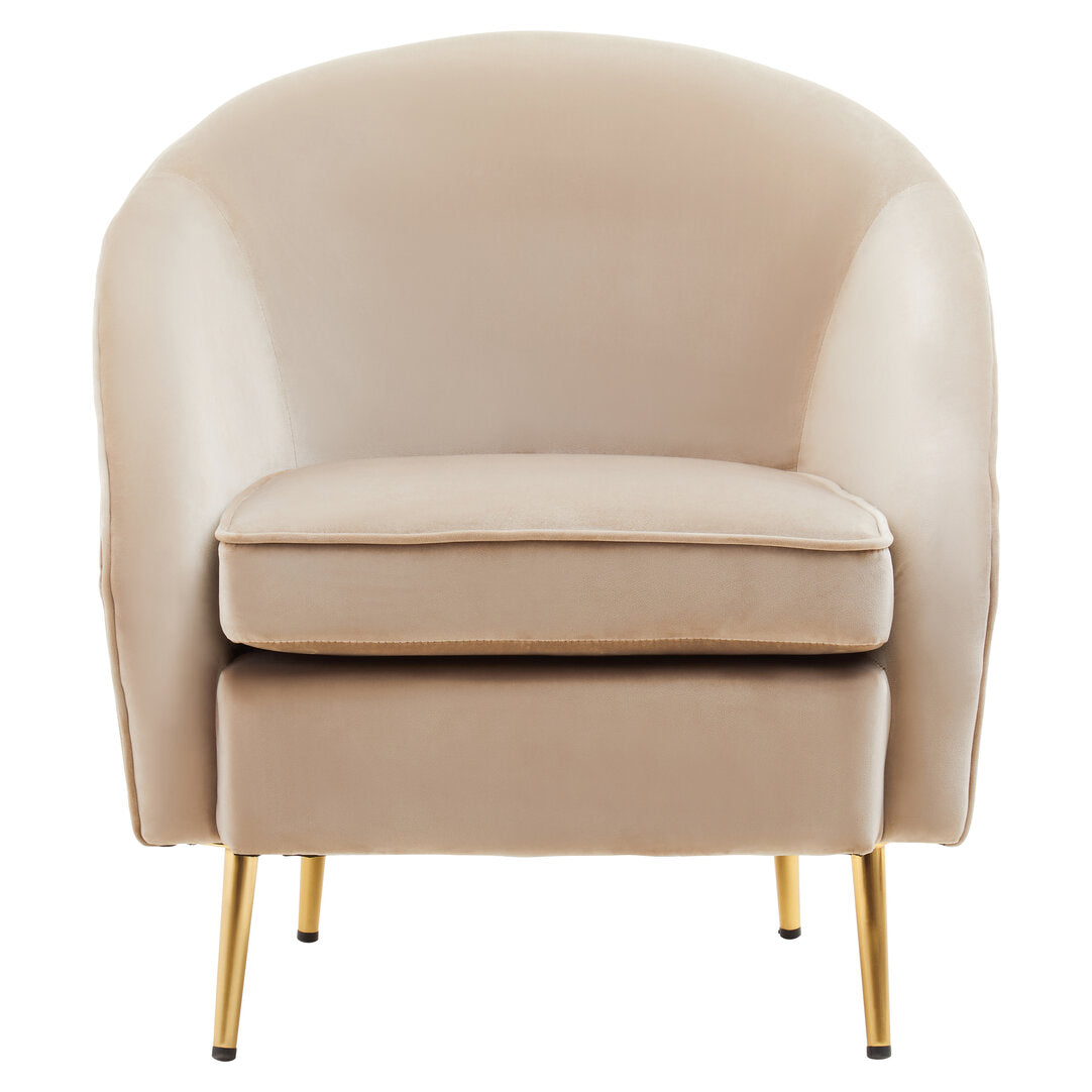 Hudson Mink Velvet Armchair