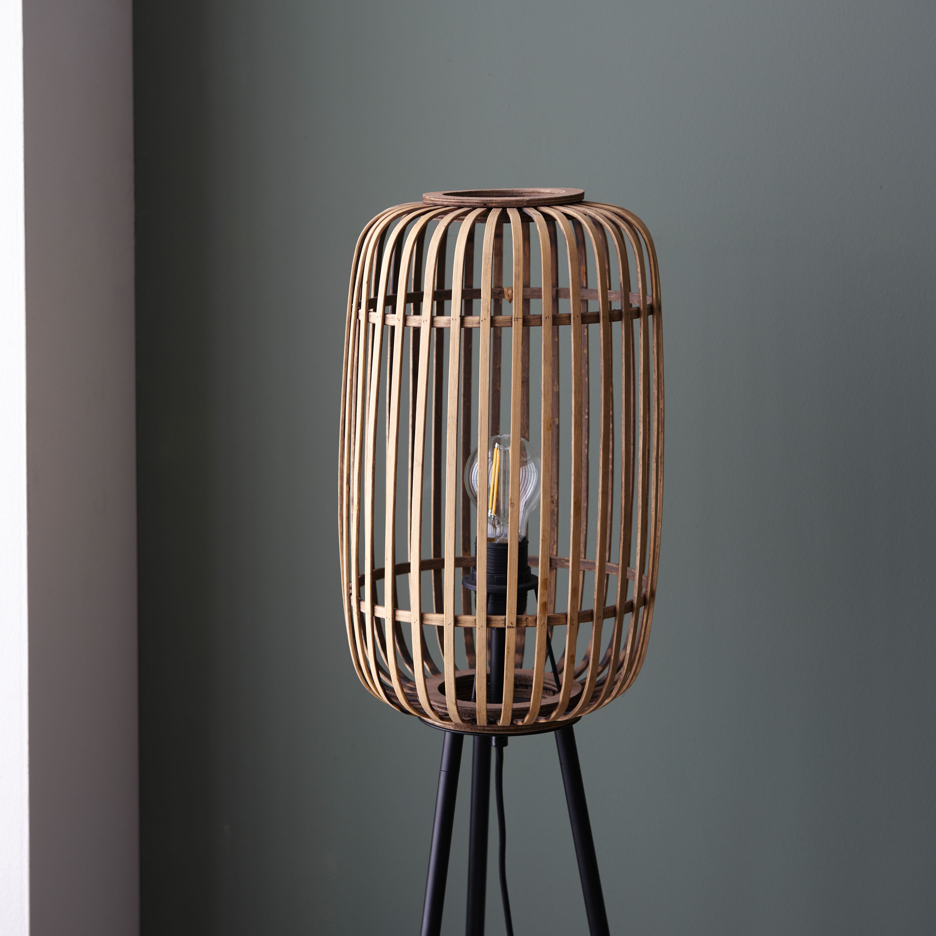 Mathias Lamp
