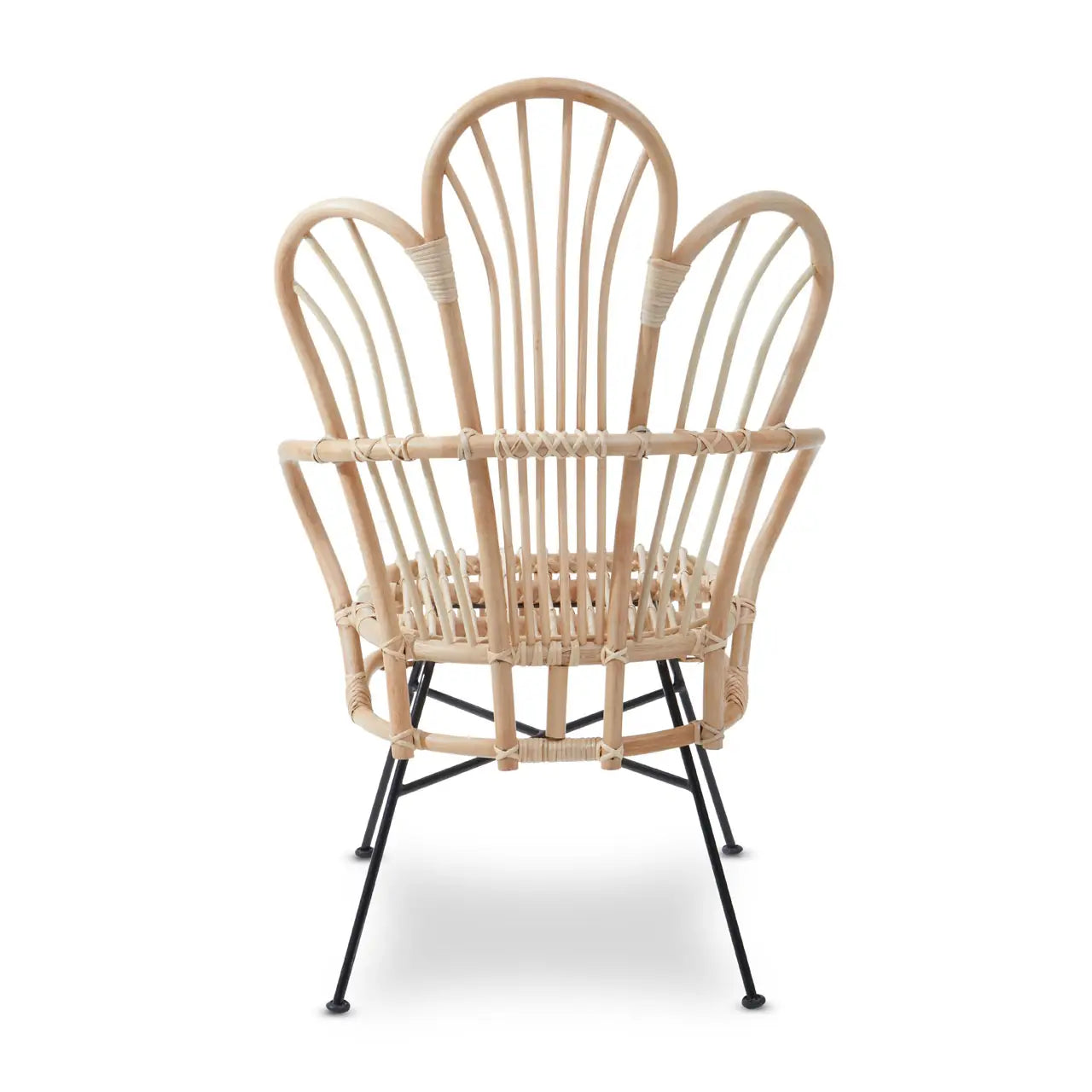 Java Natural Rattan And Black Metal Back Chair