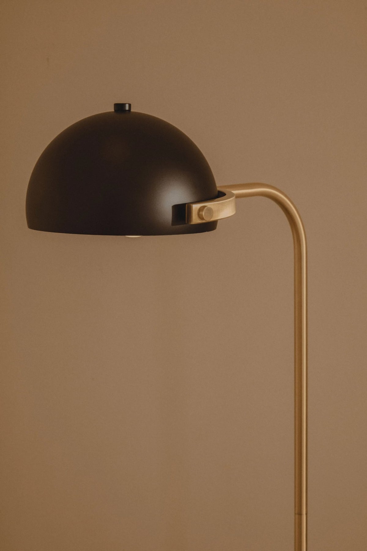 Notting Floor Lamp with Black Shade