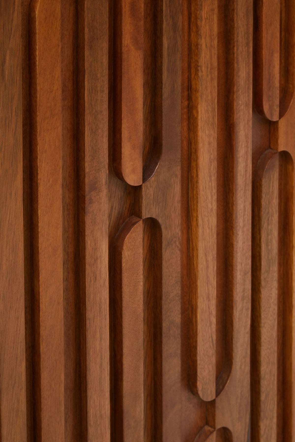 Studland Two Door Brown Mango Wood Cabinet