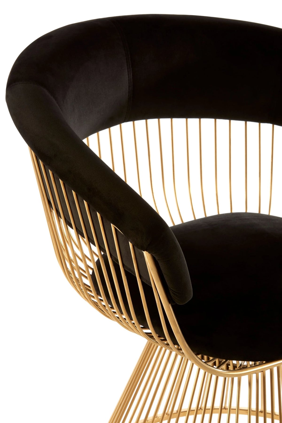 Valencia Black Velvet and Gold Finish Chair