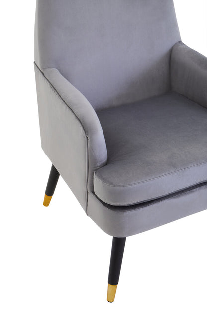 Regent Mink Velvet Accent Chair