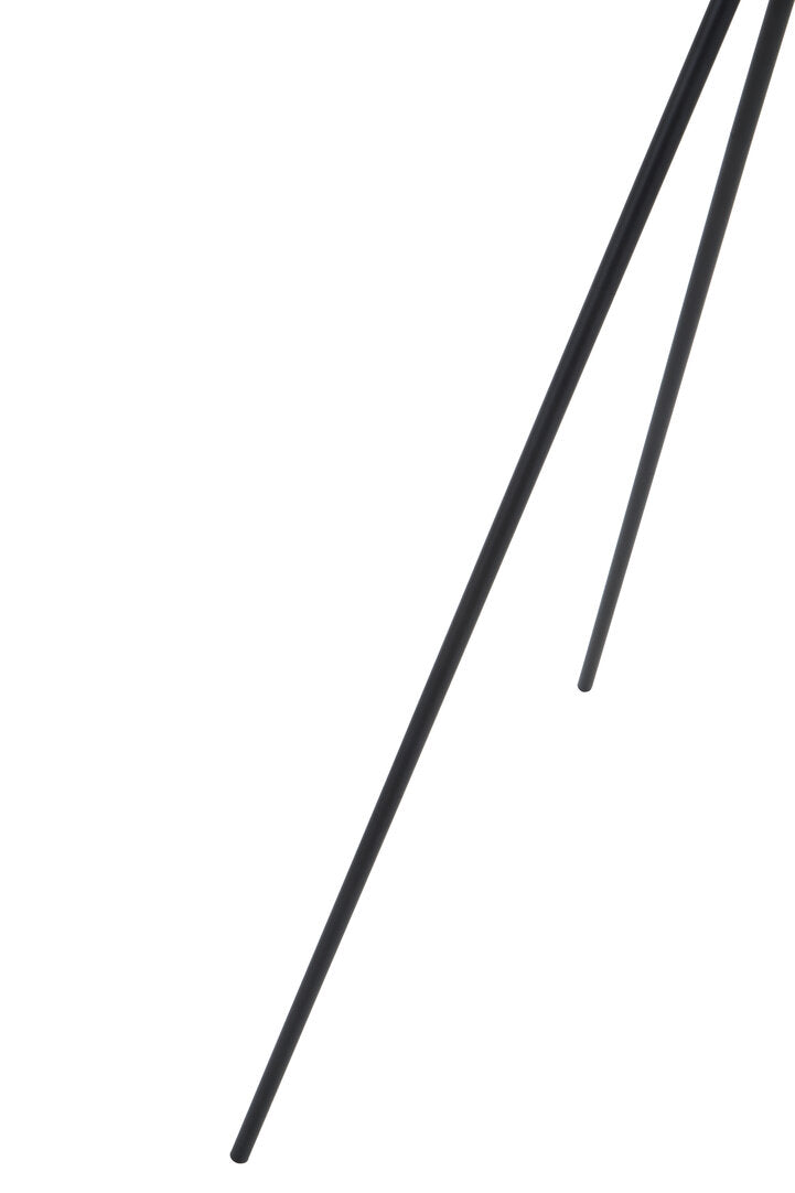 Richmond Two Spotlight Matte Black Tripod Floor Lamp