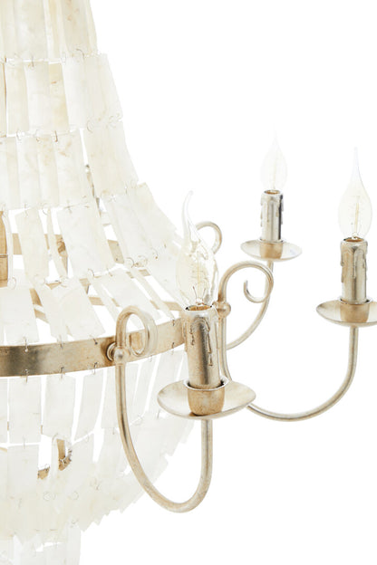 Monaco 8 Bulb Seashell Chandelier