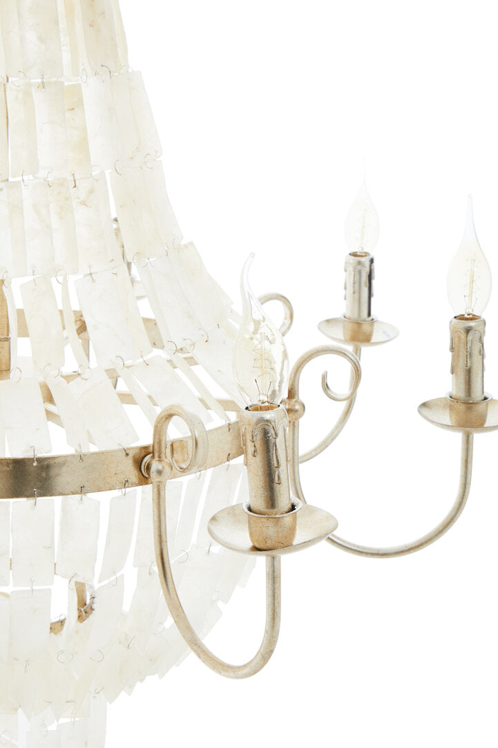 Monaco 8 Bulb Seashell Chandelier