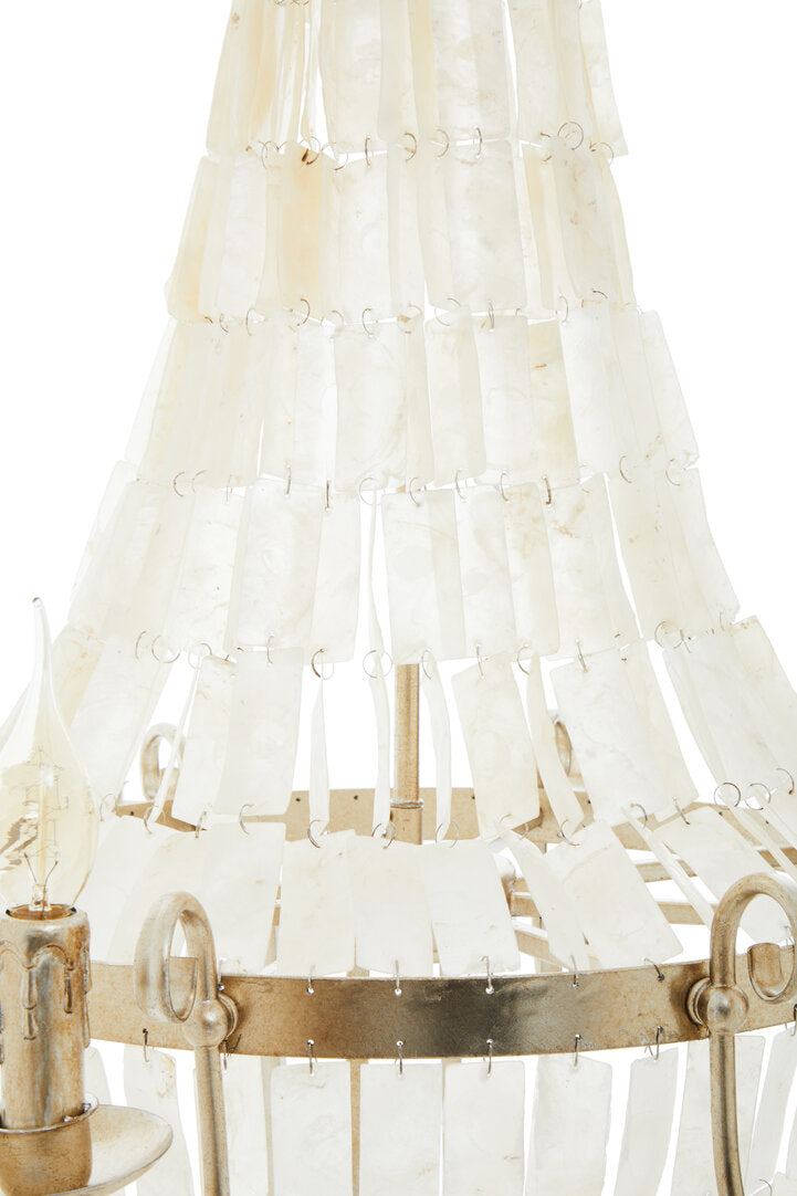 Monaco 8 Bulb Seashell Chandelier