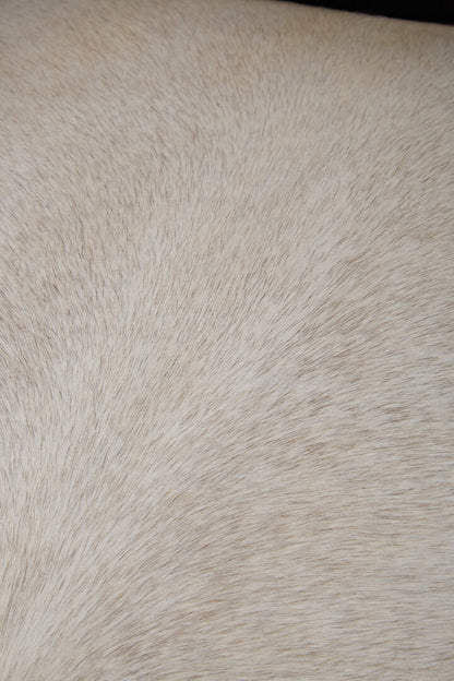 Brooklyn Black Textured Chair with Tufted Back