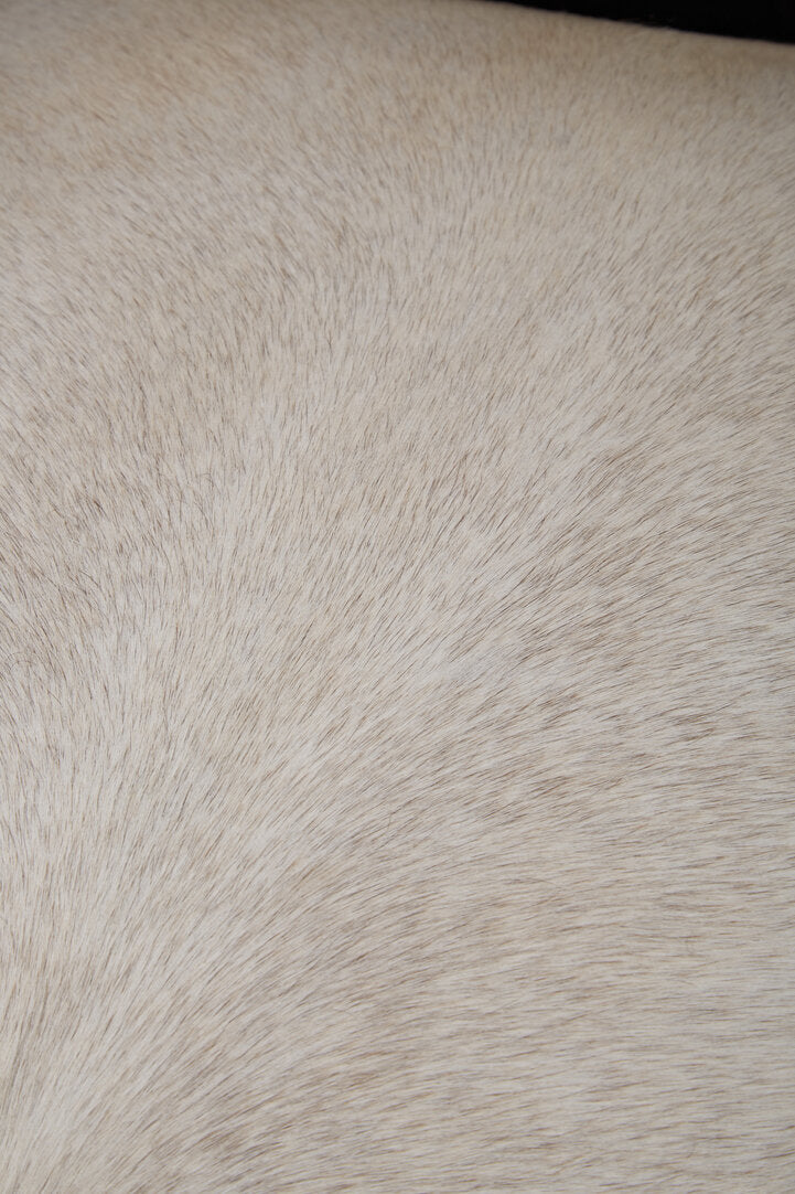 Brooklyn Black Textured Chair with Tufted Back