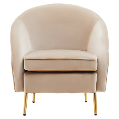 Hudson Mink Velvet Armchair