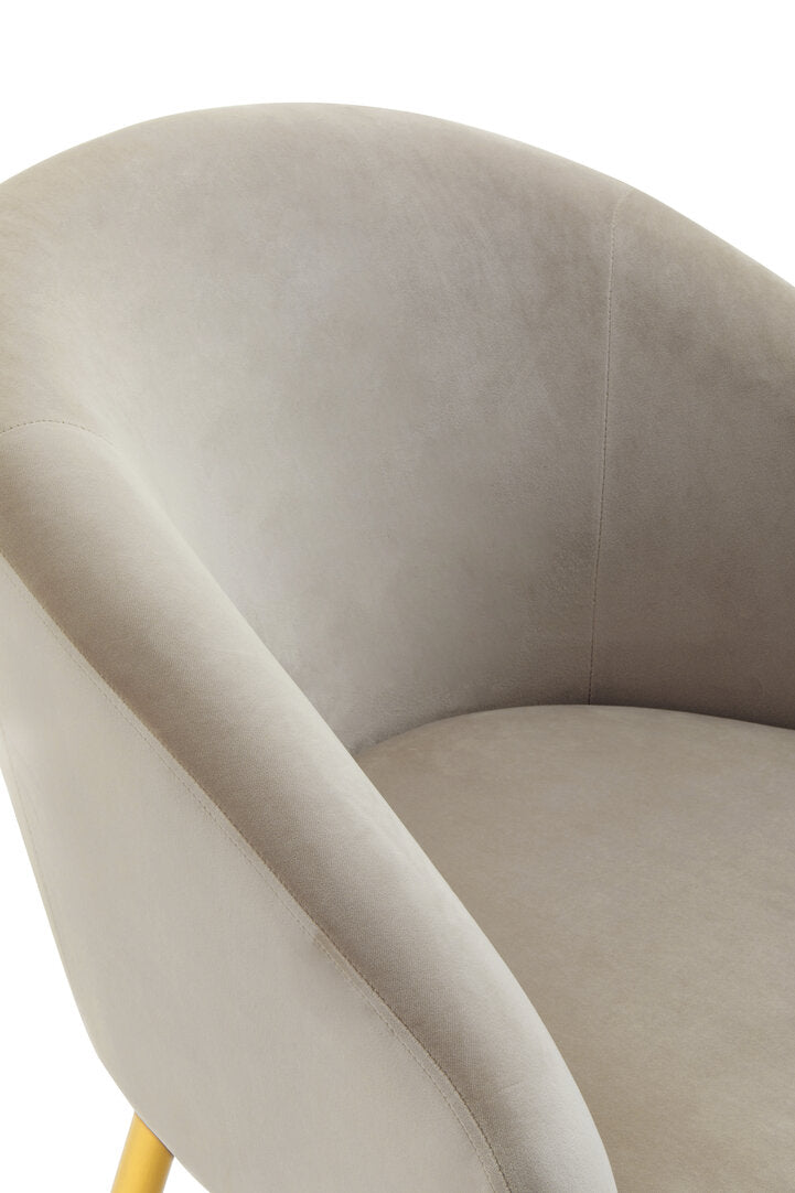 Hudson Mink Velvet Chair And Footstool