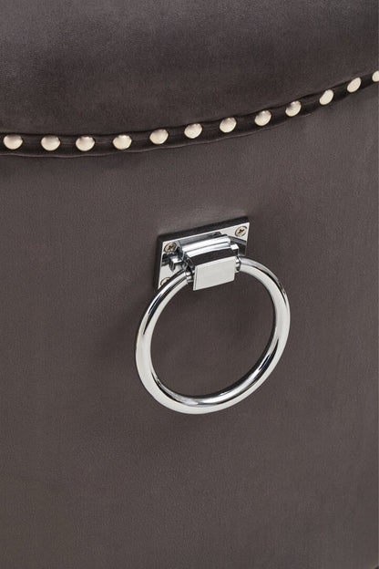 Lisbon Grey Velvet Chair With Ring Back