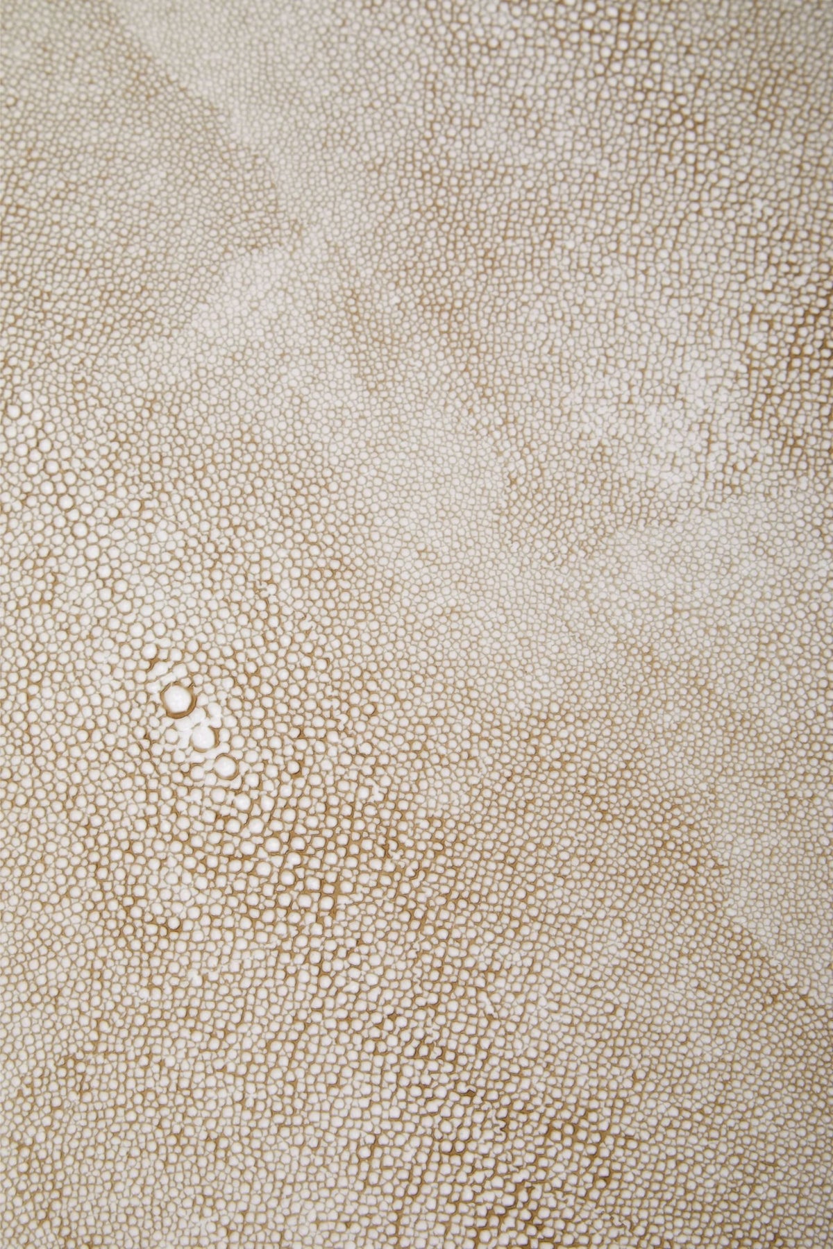 Portofino 2 Drawer Shagreen Effect Side Table