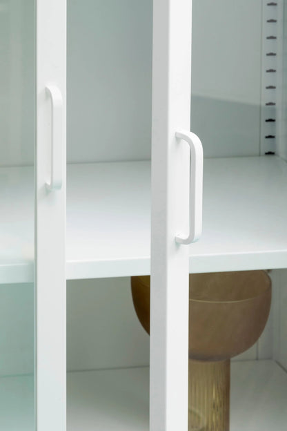 Cambridge Two Door Metal Cabinet with Glass Doors 