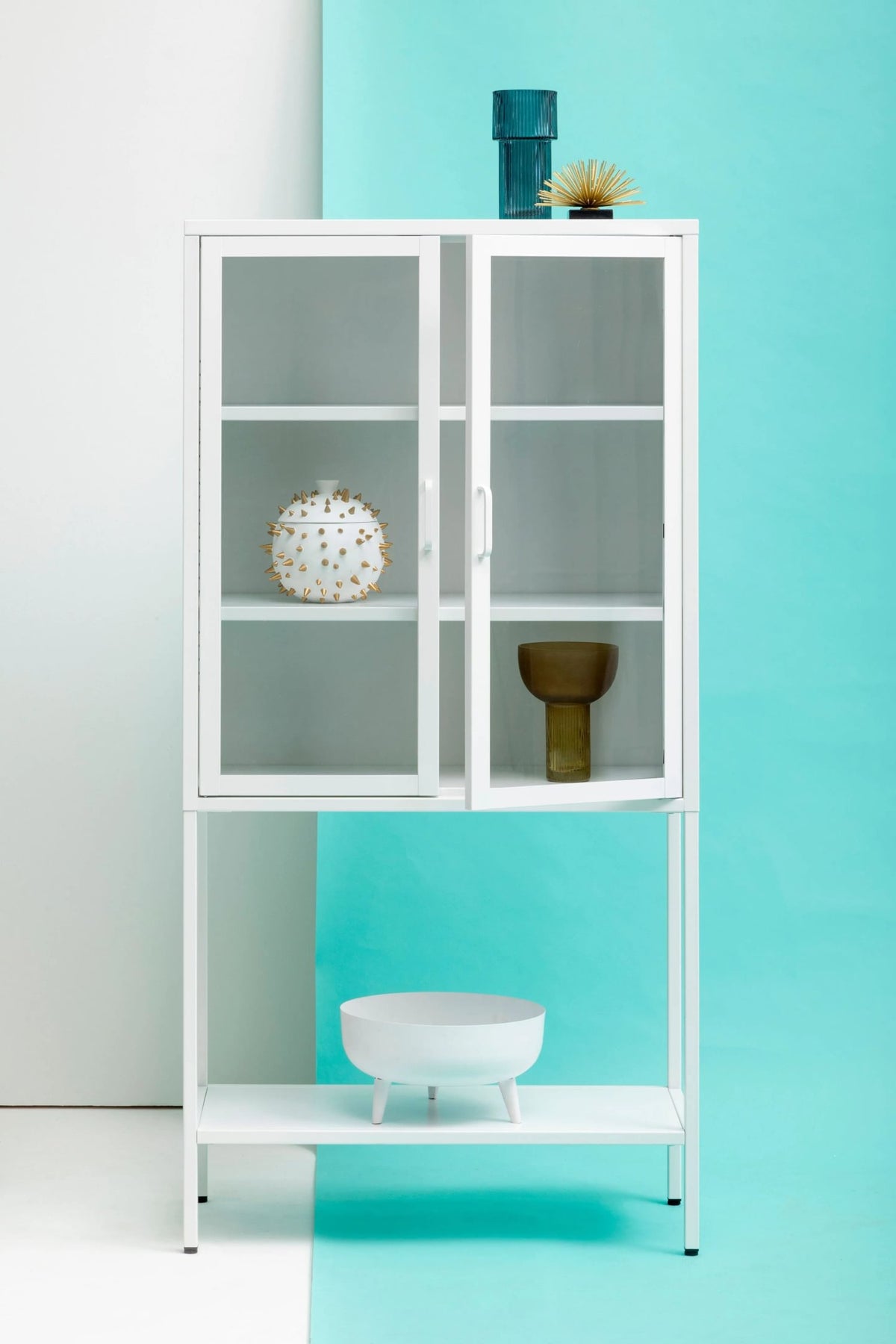 Cambridge Two Door Metal Cabinet with Glass Doors 