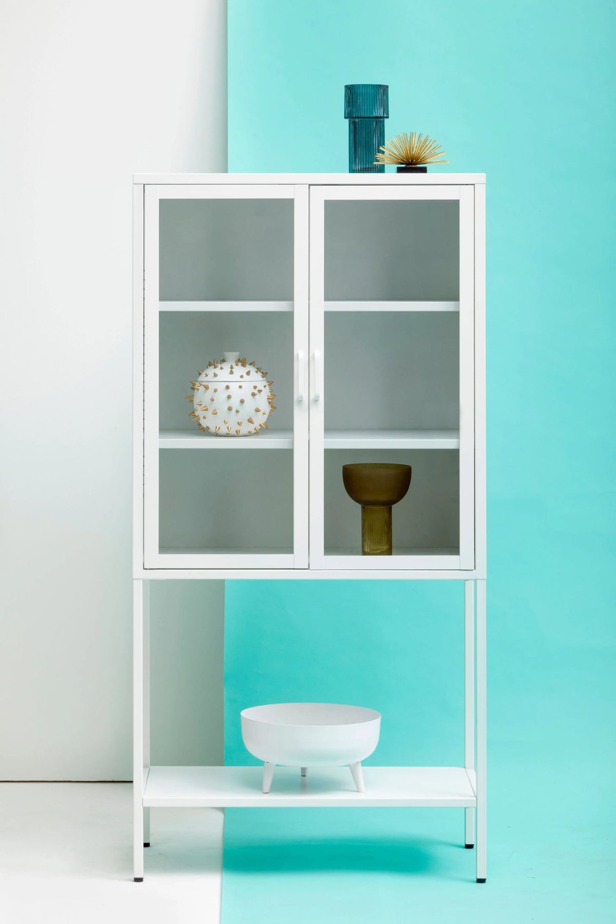 Cambridge Two Door Metal Cabinet with Glass Doors 