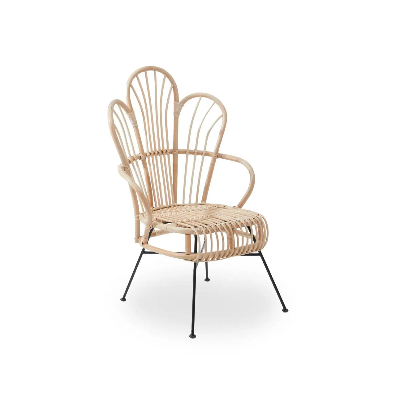 Java Natural Rattan And Black Metal Back Chair