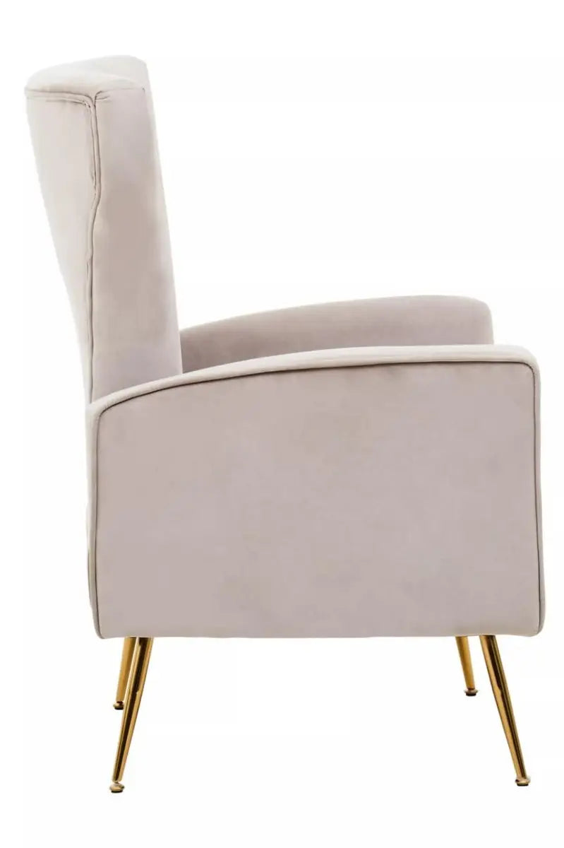 Zamora Mink Velvet Accent Chair