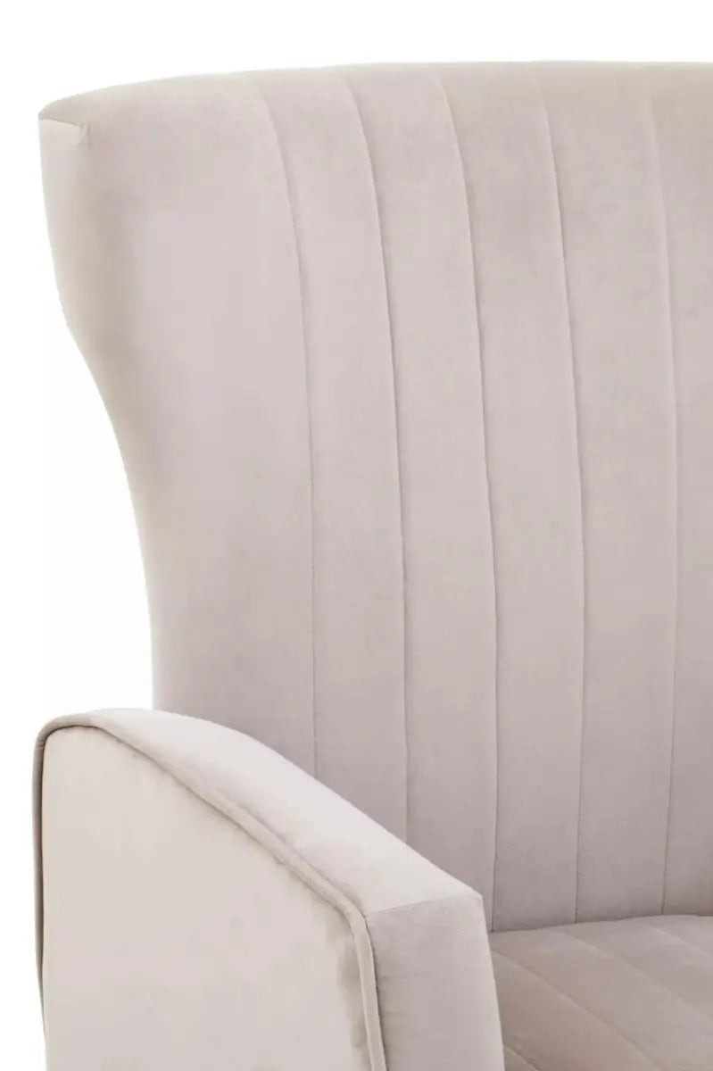 Zamora Mink Velvet Accent Chair