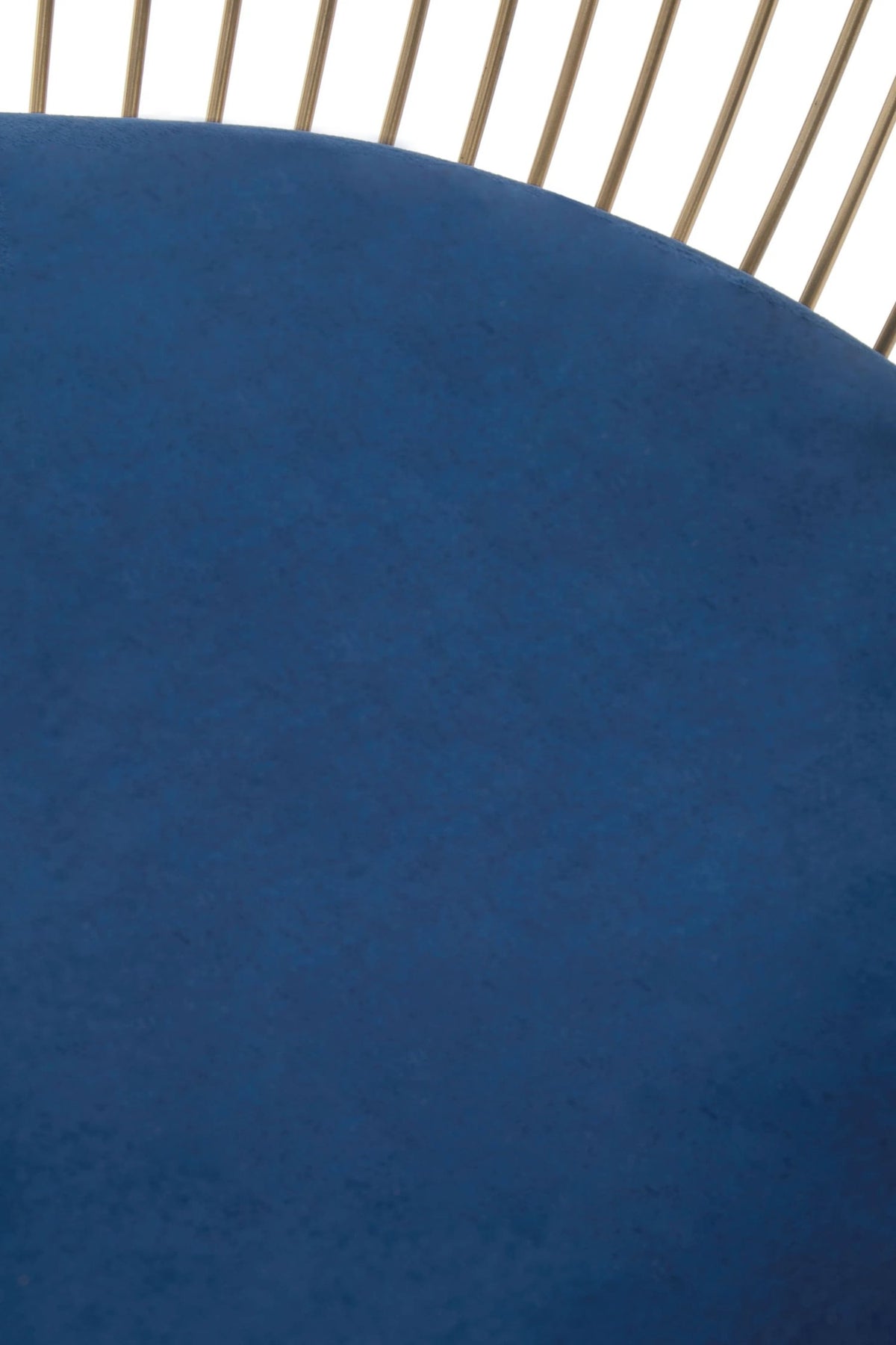 Boston Velvet Chair #colour_navy-blue-gold