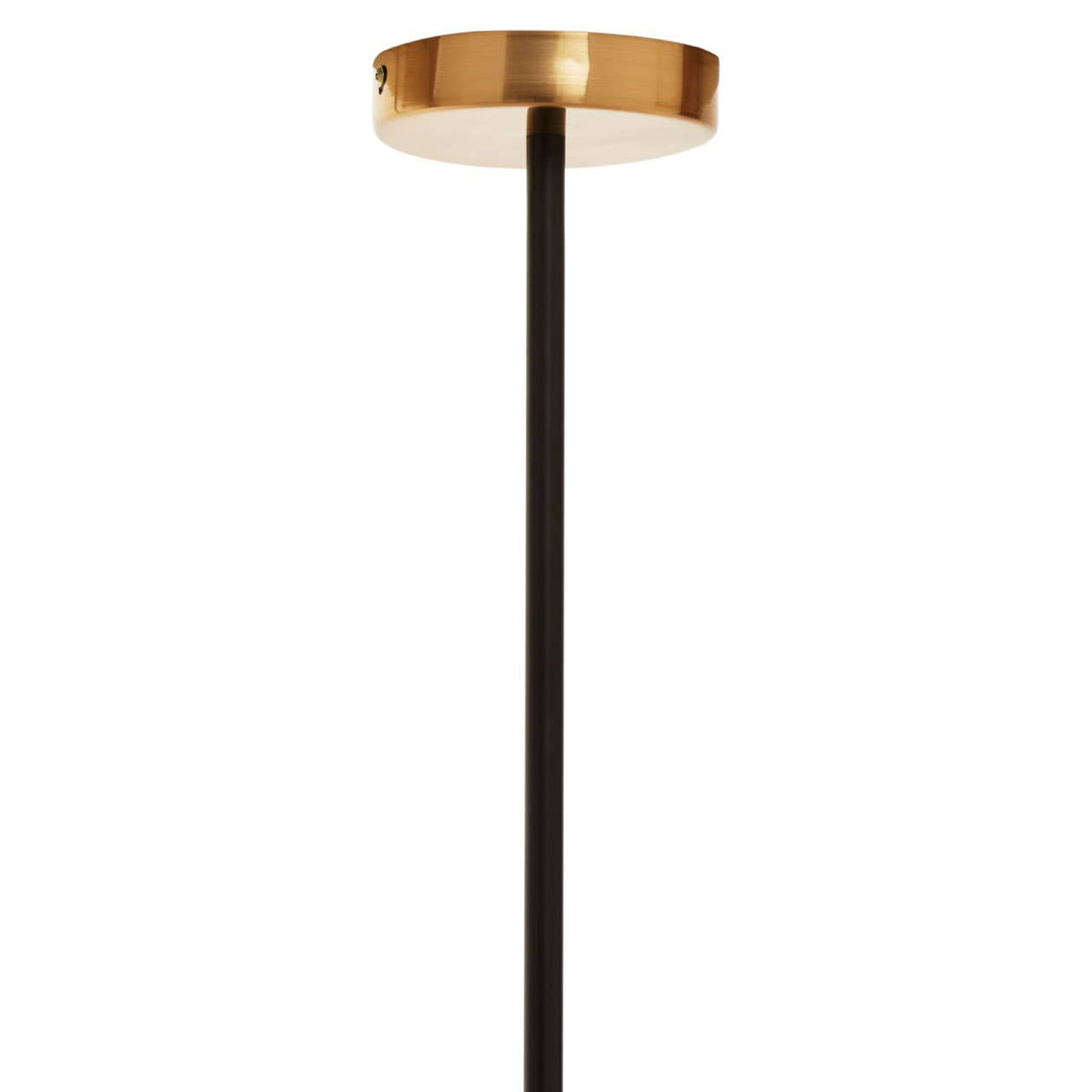 Worthing Brass Finish 4 Bulb Ring Pendant Light