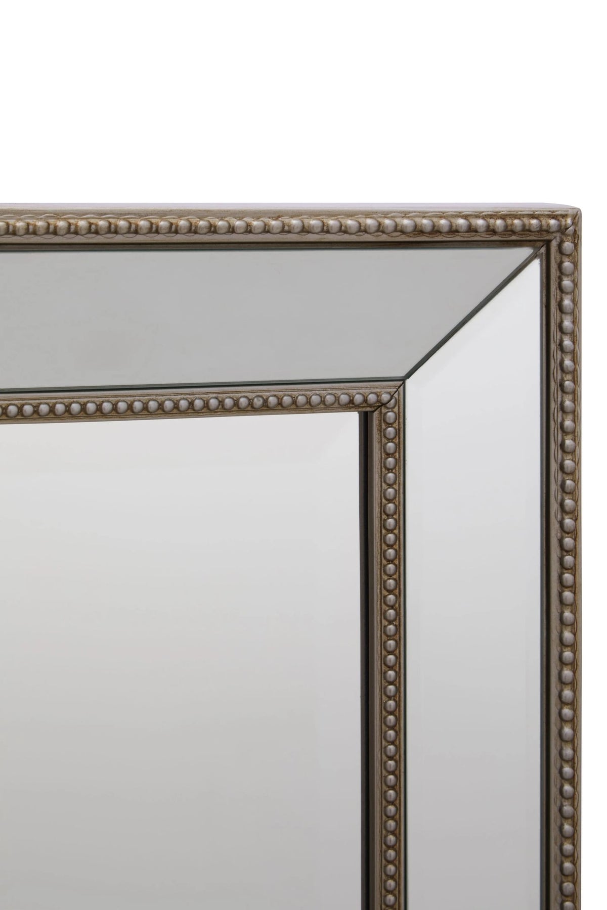 Topsham Champagne Frame Small Full Length Wall Mirror