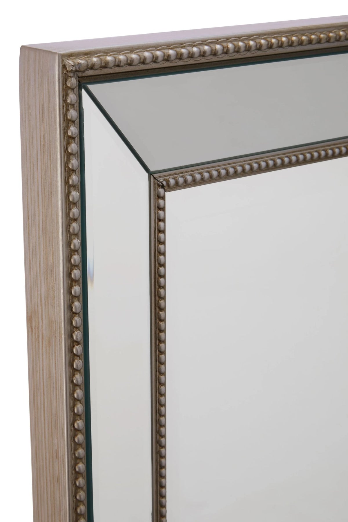 Topsham Champagne Frame Small Full Length Wall Mirror
