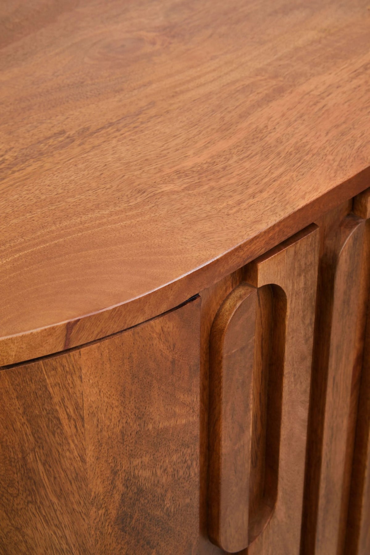 Studland Two Door Brown Mango Wood Cabinet