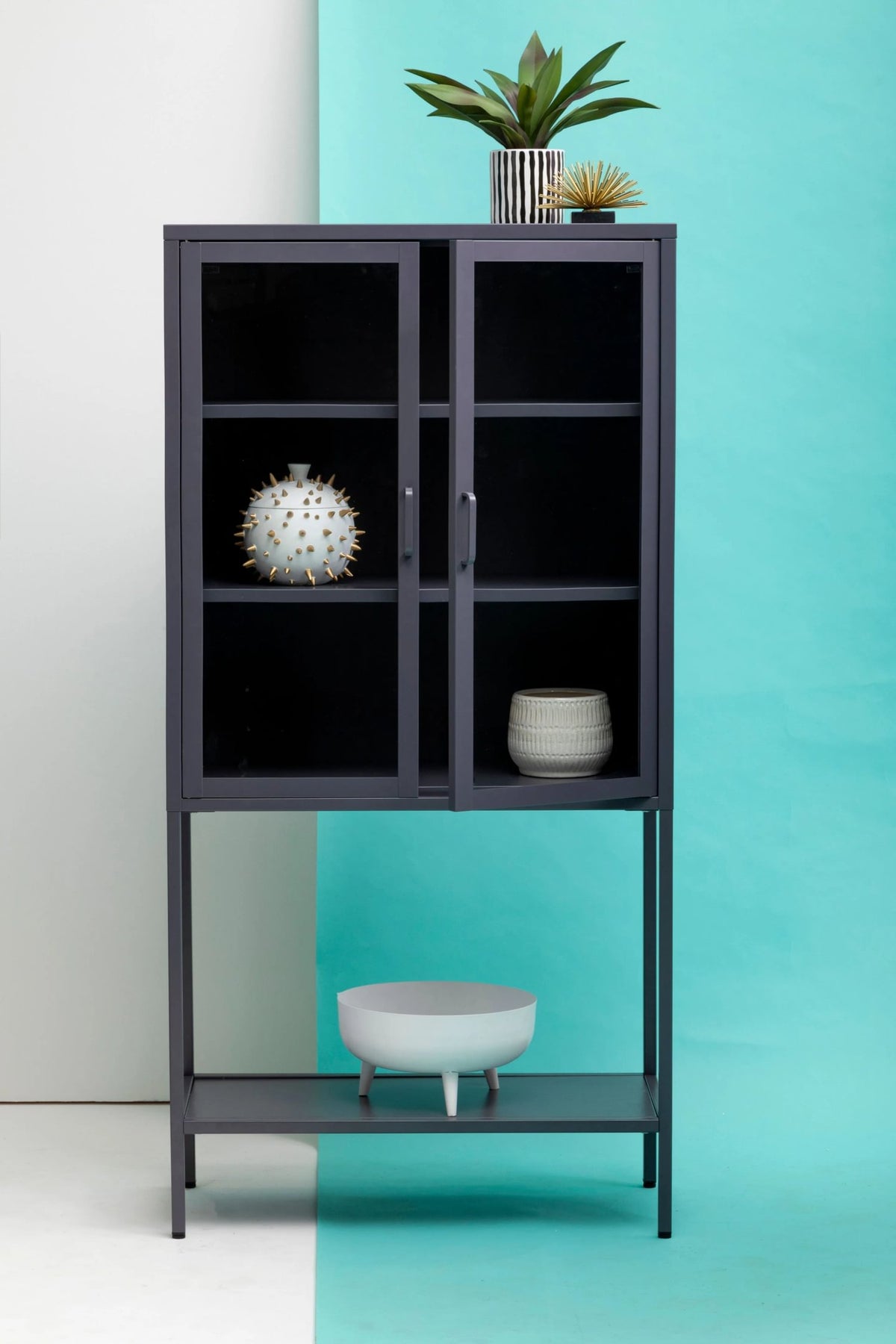 Cambridge Two Door Metal Cabinet with Glass Doors 
